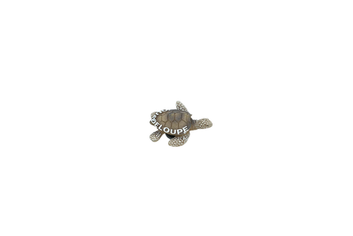 [15023] Magnet Tortue Resine S