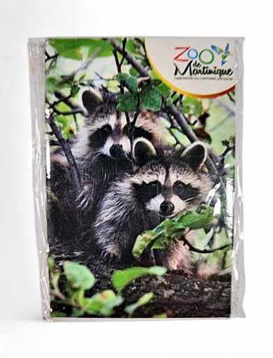 [15055] Magnet Image ZDM 2 Racoons