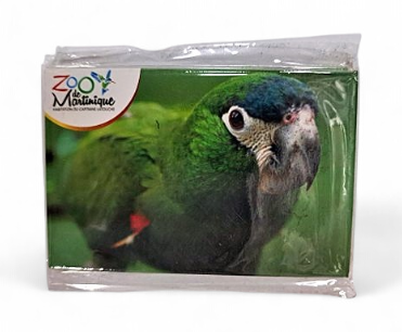 [15056] Magnet Image ZDM Amazone