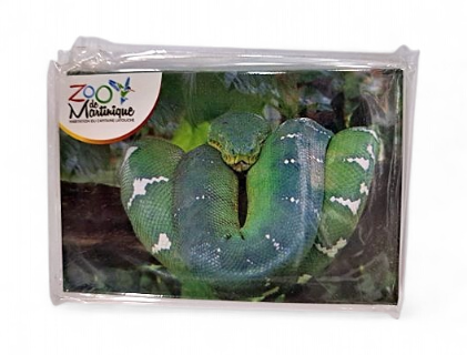 [15057] Magnet Image ZDM Boa