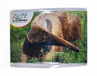 [15059] Magnet Image ZDM Fourmillier