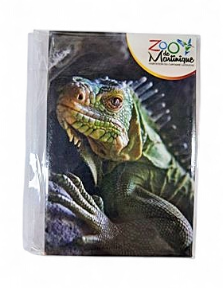 [15060] Magnet Image ZDM Iguane