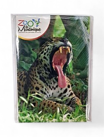 [15061] Magnet Image ZDM Jaguar