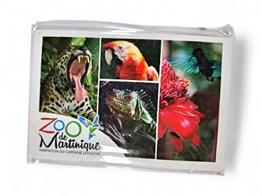 [15062] Magnet Image ZDM Multivues