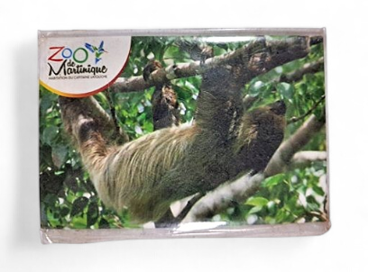 [15064] Magnet Image ZDM Paresseux