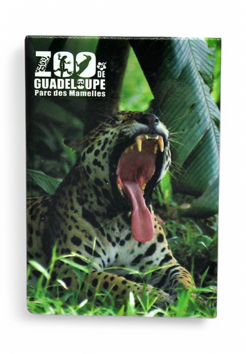 [15068] Magnet Image PDM Jaguar