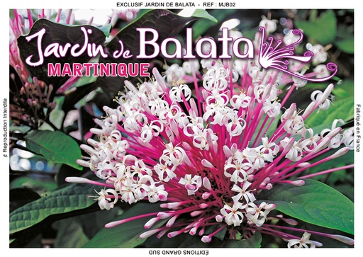 [15078] Magnet Image JDB Cl Rodendrum