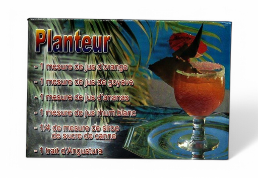 [15082] Magnet Image Planteur