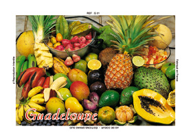 [15083] Magnet Image Fruits