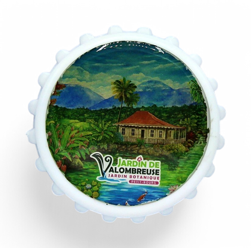 [15086] Magnet Decapsuleur