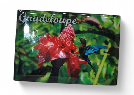 [15092] Magnet Epoxy Rectangle Rose+Colibri