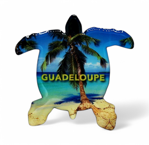 [15093] Magnet Epoxy Tortue Et Cocotier