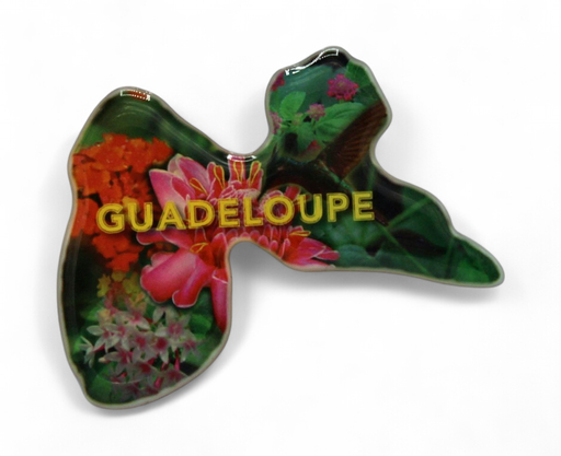 [15102] Magnet Epoxy Carte Colibri+Fleur