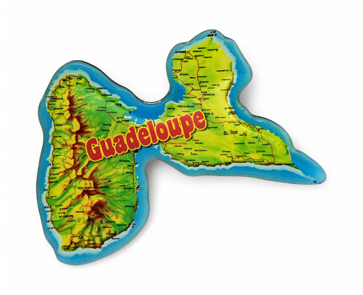 [15104] Magnet Epoxy Carte Détaillé