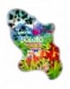 [15115] Magnet Epoxy Carte JDB