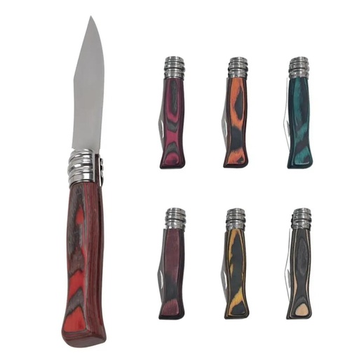 [31017] Couteau 19,5Cm Manche Couleur 