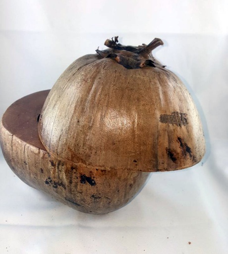 [31043] Glaciere Coco Entière