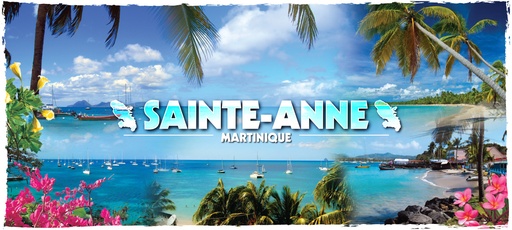 [34020] Mug Imprimé Sainte-Anne MQ