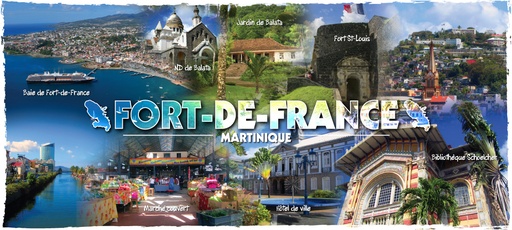[34025] Mug Imprimé Fort De France MQ