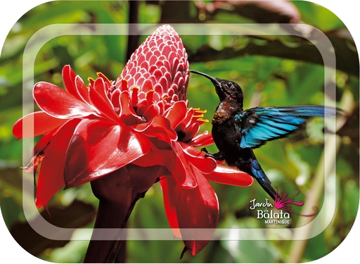 [35019] Plateau Métal JDB 3 Colibris MQ