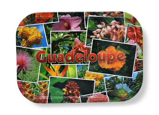 [35021] Plateau Métal Fleurs