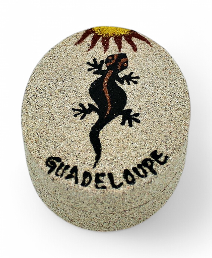 [42013] Boite Carton Motifs Gecko Tortue Sable