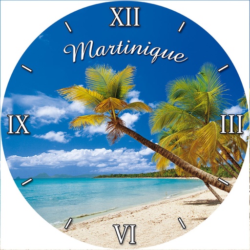 [45066] Horloge Murale Cocotier MQ