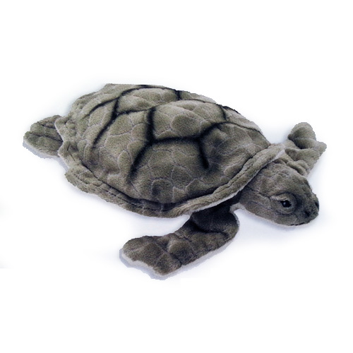 [53005] Bebe Tortue De Mer