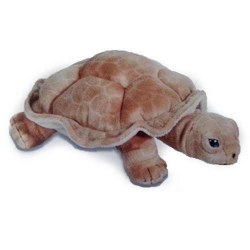 [53007] Tortue Terrestre