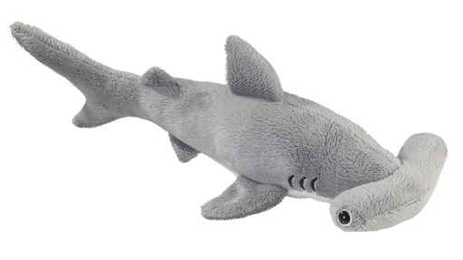 [53024] Requin Marteau Pm