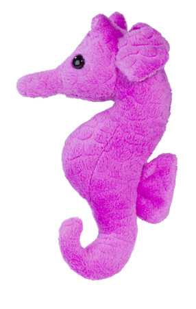 [53033] Hippocampe Pochette Cadeau