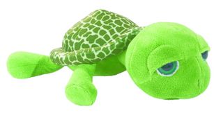 [53037] Tortue Verte Gros Yeux