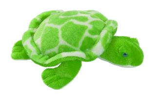 [53038] Tortue Verte Pm