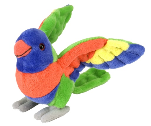 [53148] Ck-Mini Lorikeet 8