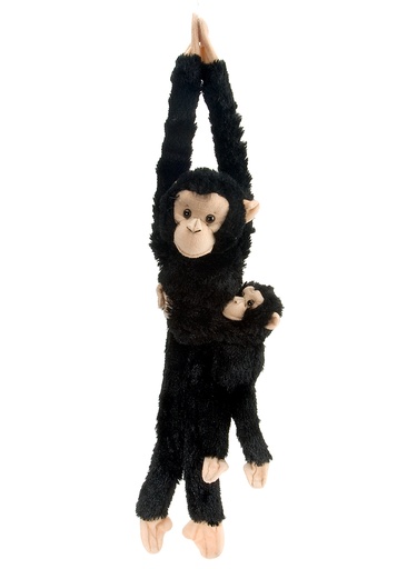 [53158] Hanging 20  Chinmp W/B