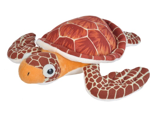 [53184] Ck Mini Loggerhead Sea Turtle