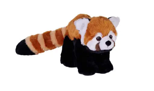 [53257] Ck Eco Red Panda