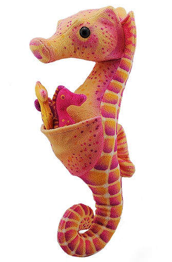 [53265] Hippocampe Et Bebe 29 Cm