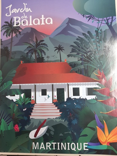 [61002] Affiche JDB 2 GM (60X80)