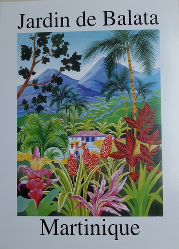 [61005] Affiche JDB GM (60X80)