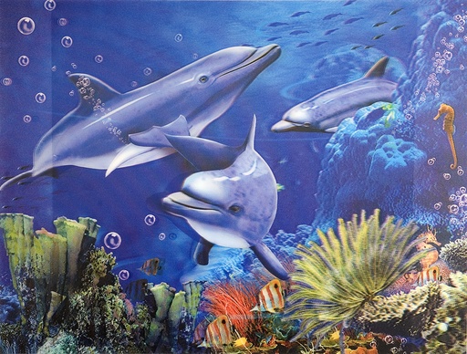 [61019] 3D Poster Dolphins