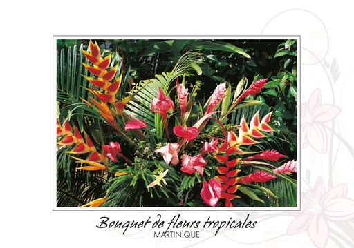 [63004] CP 10X15 MQ BB16