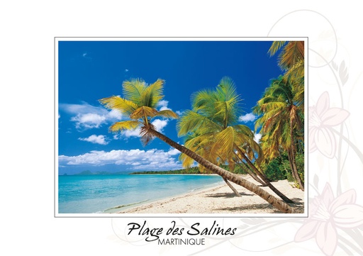 [63013] CP 10X15 MQ BB27