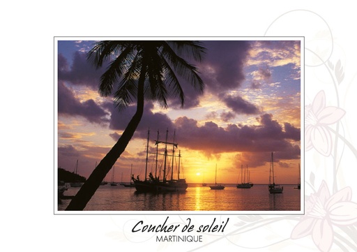 [63020] CP 10X15 MQ BB37