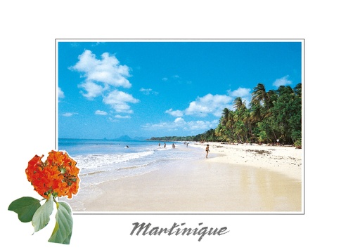 [63021] CP 10X15 MQ BB5