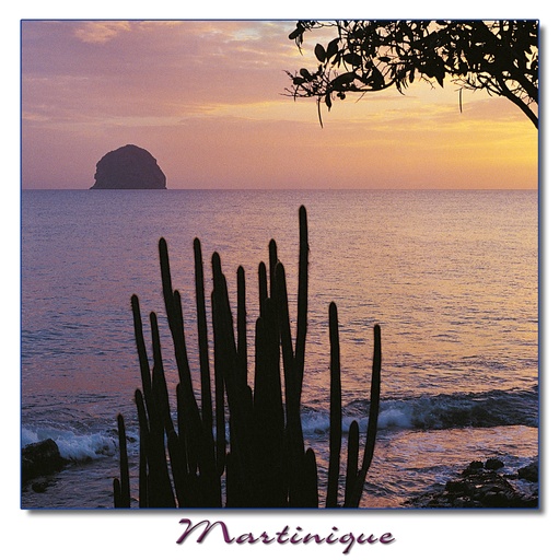 [63023] CP 13X13 MQ 1313M05