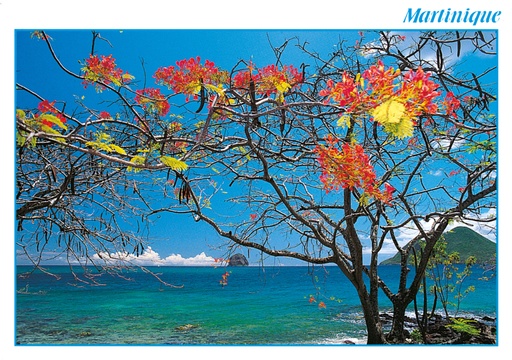 [63351] CP 10X15 MQ M149