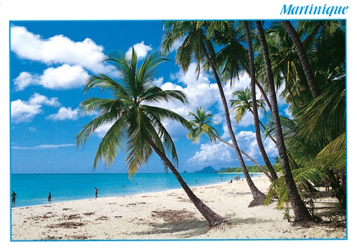 [63352] CP 10X15 MQ M152