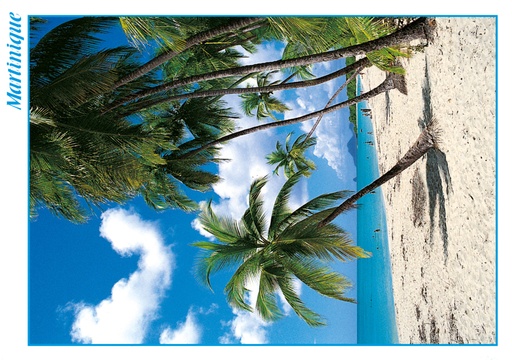 [63353] CP 10X15 MQ M153