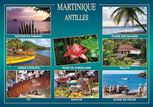 [63354] CP 10X15 MQ M154